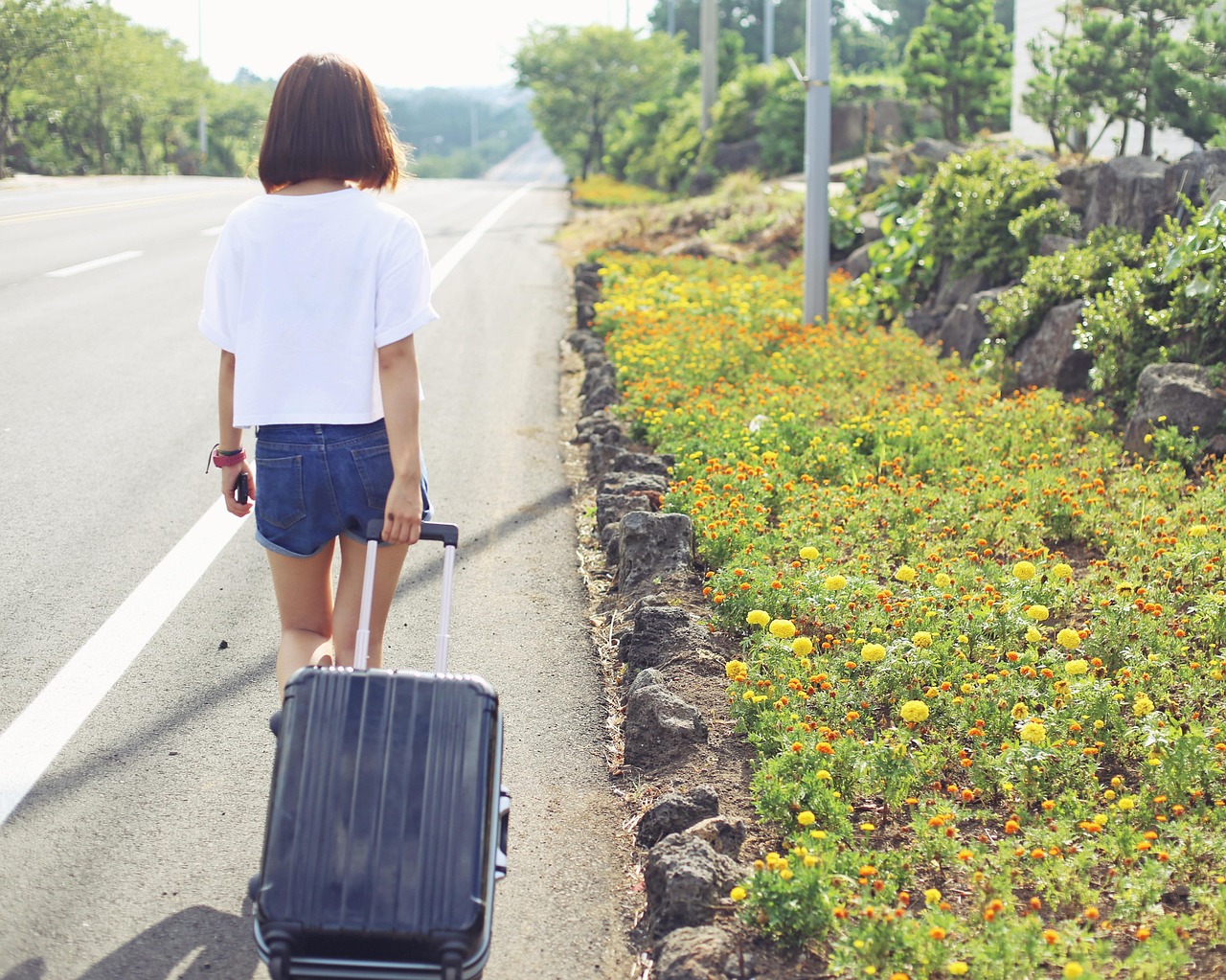 Canvaで作る旅行動画のリールテンプレはどれが人気？