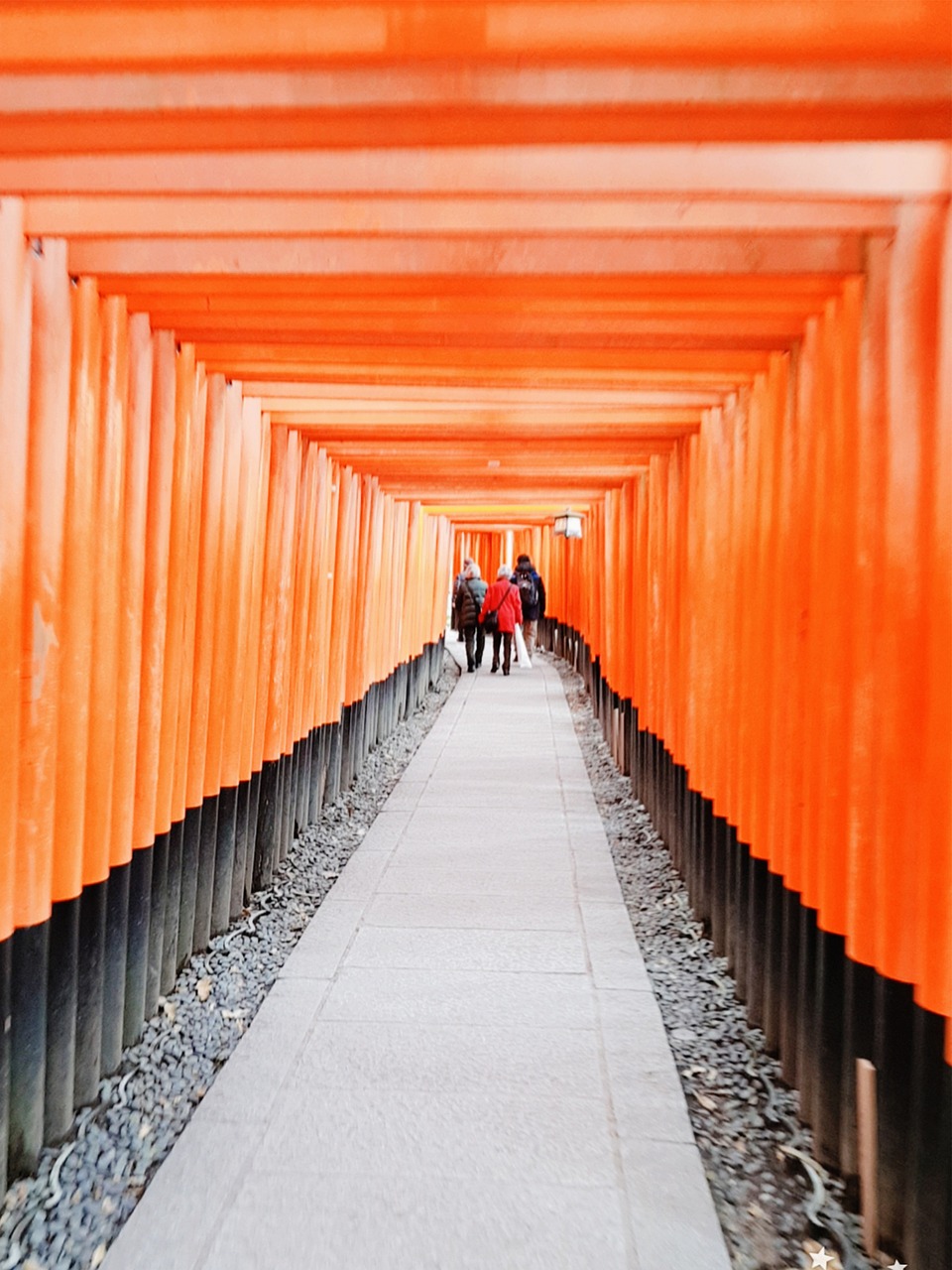 Canvaで作成するリールのテンプレは旅行動画に最適？
