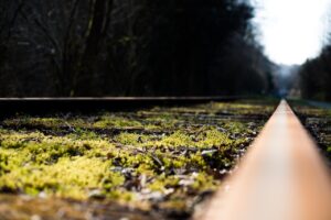 九州レールパスをお得に使うためのおすすめの使い方は？