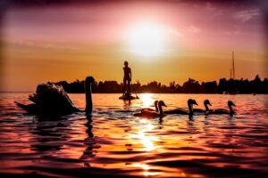 鹿児島の桜島でSUP体験を予約する方法は？