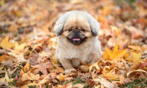 九州でインスタ映えするおすすめスポットは？