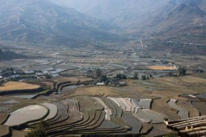 九州のテラスカフェで楽しめるおすすめメニューは？