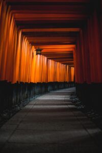 九州の神社で映えるスポットはどこですか？