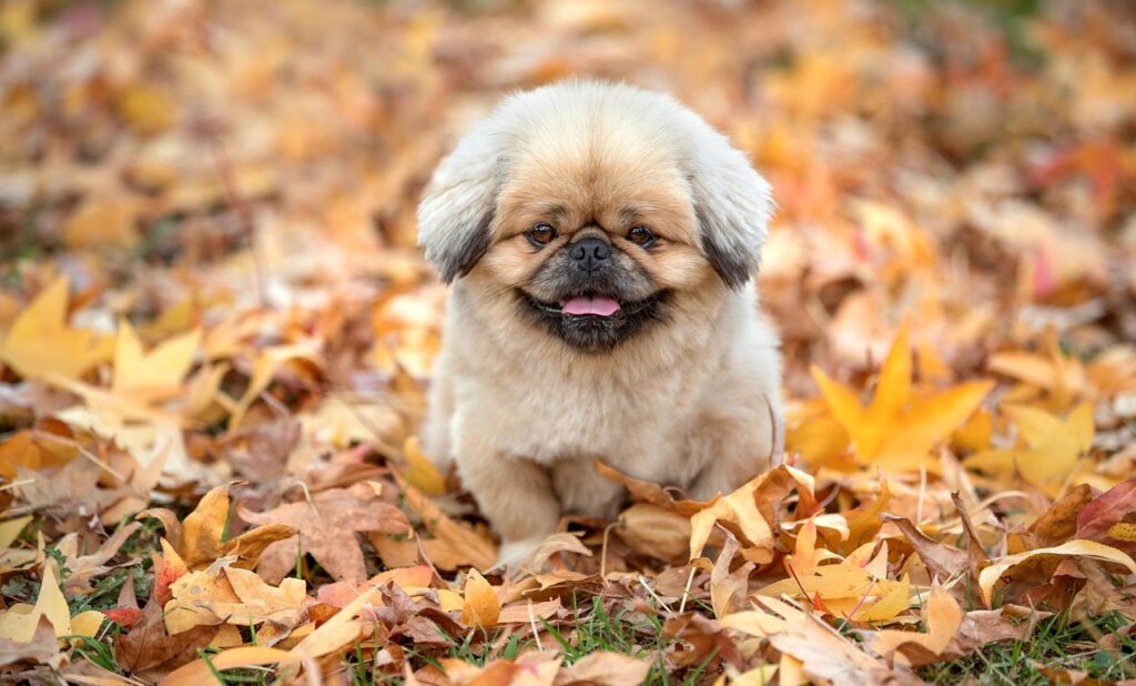 日南で女子旅におすすめの海の楽しみ方は？
