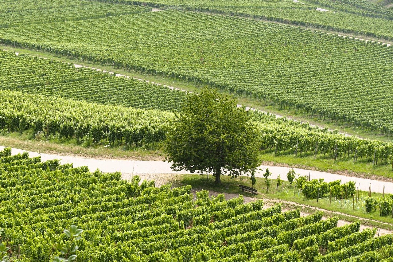 鹿児島で女子旅におすすめの絶景スポットは？