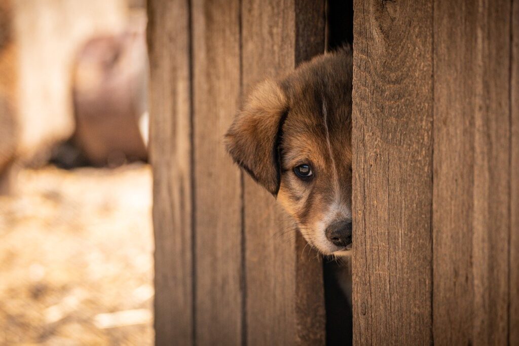 一人女子旅におすすめの九州の魅力とは？