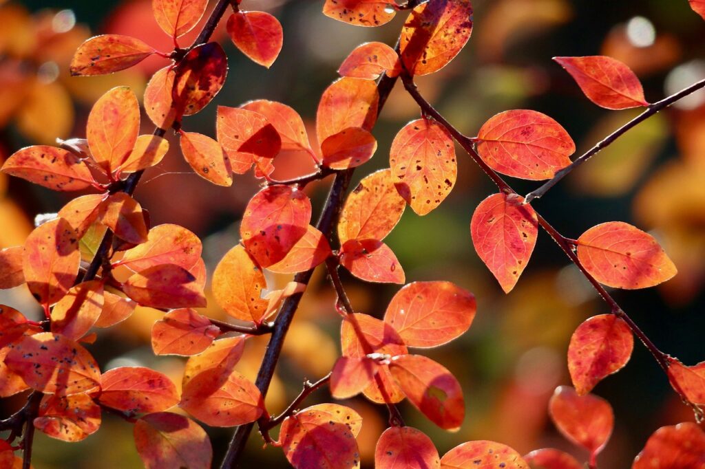 九州女子旅にぴったりなブランチカフェはどこ？