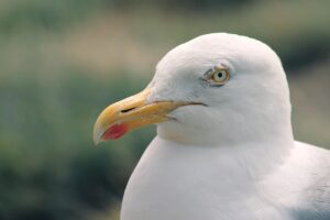 九州のインスタ映えスポットはどこ？海のおすすめも紹介！