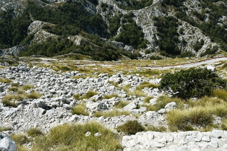 鹿児島での女子旅、日帰りプランはどれがオススメ？